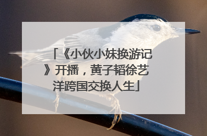 《小伙小妹换游记》开播，黄子韬徐艺洋跨国交换人生
