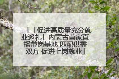 「促进高质量充分就业巡礼」内蒙古首家直播带岗基地 匹配供需双方 促进上岗就业