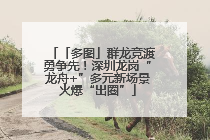 「多图」群龙竞渡勇争先！深圳龙岗“龙舟+”多元新场景火爆“出圈”