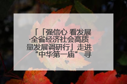「强信心 看发展·全省经济社会高质量发展调研行」走进“中华第一庙” 寻根伏羲 祭祖龙城
