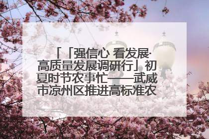 「强信心 看发展·高质量发展调研行」初夏时节农事忙——武威市凉州区推进高标准农田建设见闻