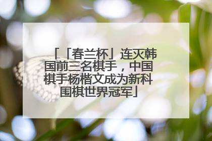「春兰杯」连灭韩国前三名棋手，中国棋手杨楷文成为新科围棋世界冠军