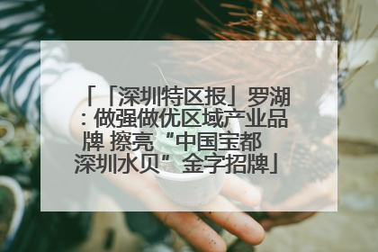 「深圳特区报」罗湖：做强做优区域产业品牌 擦亮“中国宝都 深圳水贝”金字招牌
