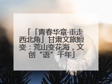 「青春华章·重走西北角」甘肃文旅嬗变：荒山变花海，文创“语”千年