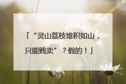 “灵山荔枝堆积如山，只能贱卖”？假的！