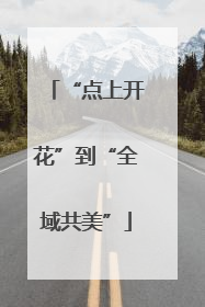 “点上开花”到“全域共美”