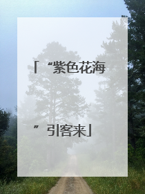 “紫色花海”引客来