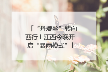 “丹娜丝”转向西行！江西今晚开启“暴雨模式”