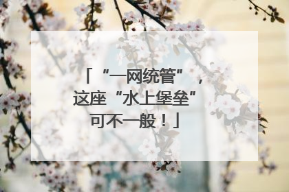 “一网统管”，这座“水上堡垒”可不一般！