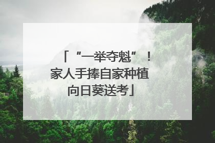 “一举夺魁”！家人手捧自家种植向日葵送考