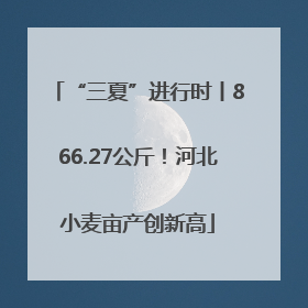 “三夏”进行时丨866.27公斤！河北小麦亩产创新高
