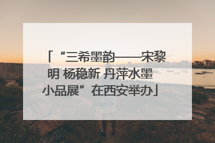 “三希墨韵——宋黎明 杨稳新 丹萍水墨小品展”在西安举办