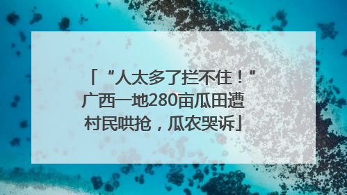 “人太多了拦不住！”广西一地280亩瓜田遭村民哄抢，瓜农哭诉