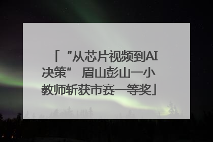“从芯片视频到AI决策” 眉山彭山一小教师斩获市赛一等奖