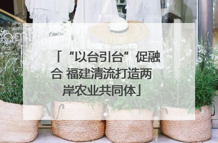 “以台引台”促融合 福建清流打造两岸农业共同体