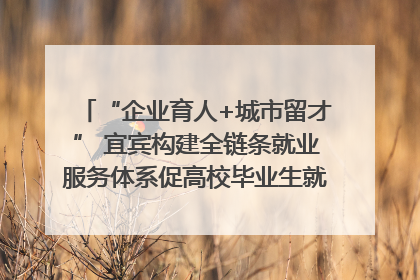 “企业育人+城市留才” 宜宾构建全链条就业服务体系促高校毕业生就业｜您牵挂的四川