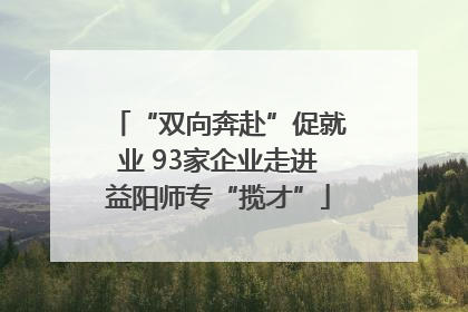 “双向奔赴”促就业 93家企业走进益阳师专“揽才”