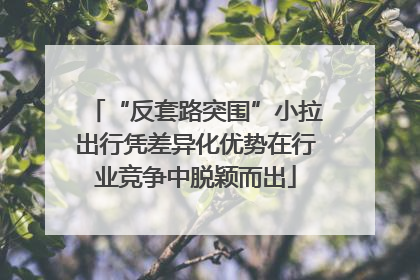 “反套路突围”小拉出行凭差异化优势在行业竞争中脱颖而出