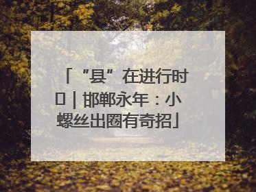 “县”在进行时⑬｜邯郸永年：小螺丝出圈有奇招