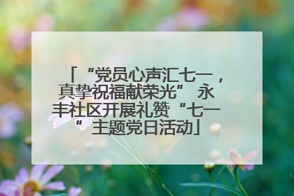 “党员心声汇七一，真挚祝福献荣光” 永丰社区开展礼赞“七一”主题党日活动