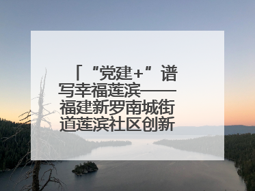 “党建+”谱写幸福莲滨——福建新罗南城街道莲滨社区创新治理模式探访