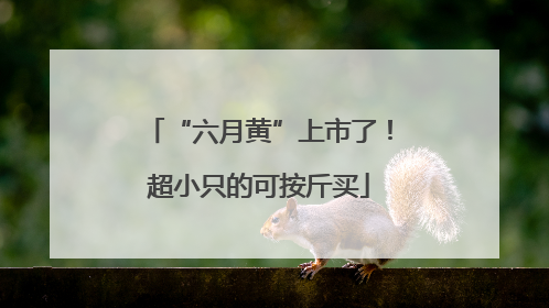 “六月黄”上市了！超小只的可按斤买