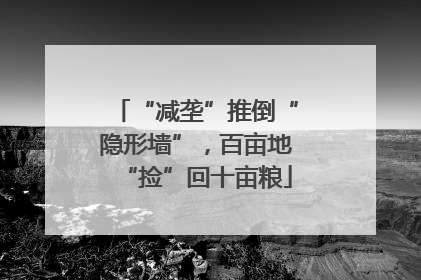 “减垄”推倒“隐形墙”，百亩地“捡”回十亩粮