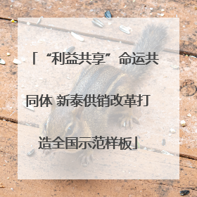 “利益共享”命运共同体 新泰供销改革打造全国示范样板