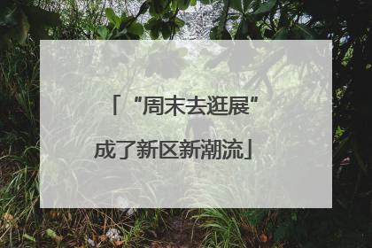 “周末去逛展”成了新区新潮流