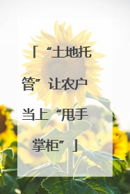 “土地托管”让农户当上“甩手掌柜”