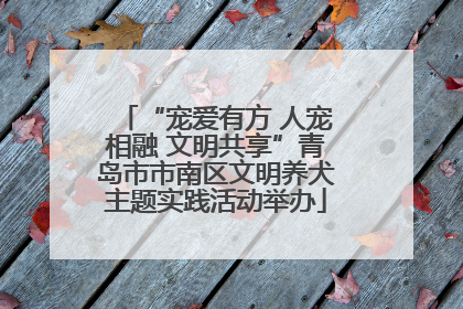 “宠爱有方 人宠相融 文明共享”青岛市市南区文明养犬主题实践活动举办