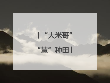 “大米哥”“慧”种田