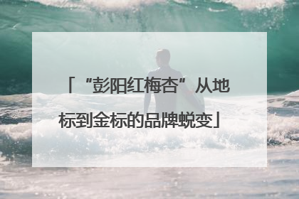 “彭阳红梅杏”从地标到金标的品牌蜕变