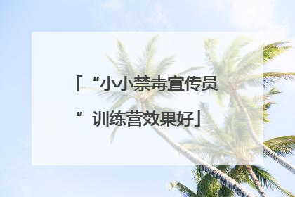 “小小禁毒宣传员”训练营效果好