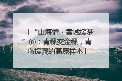 “山海情・雪域援梦”⑧：青稞变金稞，青岛援藏的高原样本