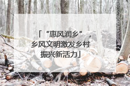 “惠风润乡”，乡风文明激发乡村振兴新活力