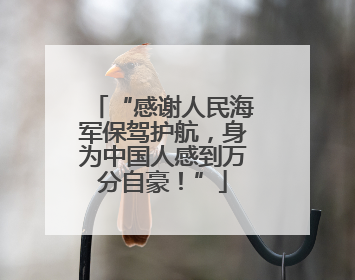 “感谢人民海军保驾护航，身为中国人感到万分自豪！”