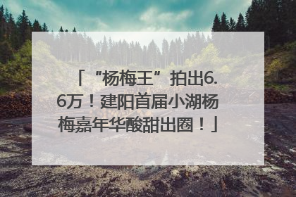 “杨梅王”拍出6.6万！建阳首届小湖杨梅嘉年华酸甜出圈！