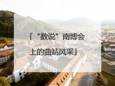 “数说”南博会上的曲靖风采