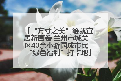 “方寸之美”绘就宜居新画卷 兰州市城关区40余小游园成市民“绿色福利”打卡地