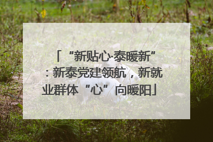 “新贴心·泰暖新”：新泰党建领航，新就业群体“心”向暖阳