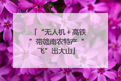 “无人机＋高铁”带赣南农特产“飞”出大山