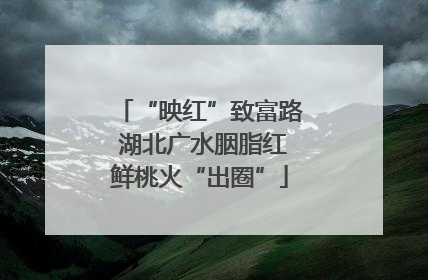 “映红”致富路 湖北广水胭脂红鲜桃火“出圈”