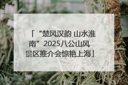 “楚风汉韵 山水淮南”2025八公山风景区推介会惊艳上海