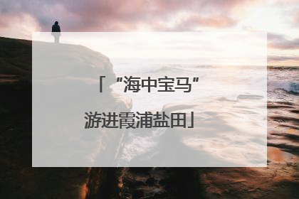 “海中宝马”游进霞浦盐田