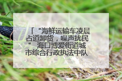 “海鲜运输车凌晨占道卸货，噪声扰民” 海口博爱街道城市综合行政执法中队：将联合交警加强长堤路一带巡逻