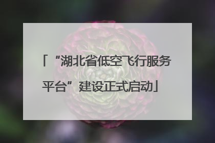 “湖北省低空飞行服务平台”建设正式启动