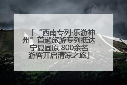 “西南专列·乐游神州”首趟旅游专列抵达宁夏固原 800余名游客开启清凉之旅