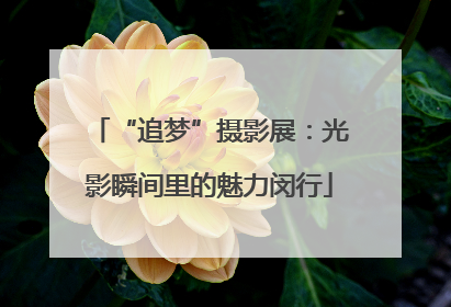 “追梦”摄影展：光影瞬间里的魅力闵行