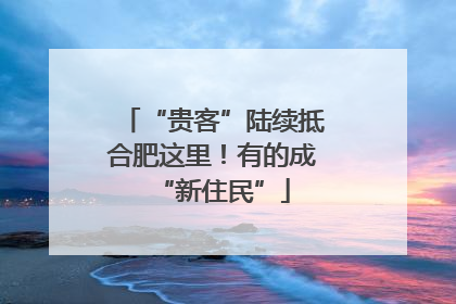 “贵客”陆续抵合肥这里！有的成“新住民”